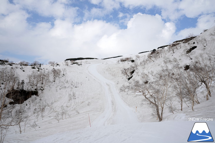 大雪山旭岳ロープウェイスキー場　カムイミンタラ『神々の遊ぶ庭』で春を楽しむ！